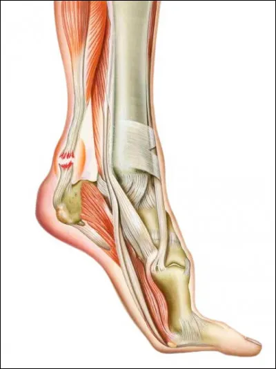 Commune de 560 habitants du département des Vosges, située près de Remiremont :
