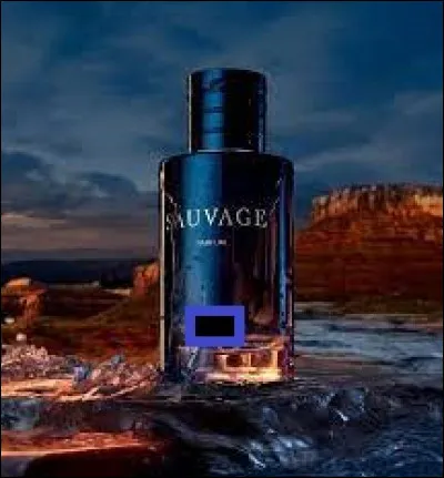 Quelle est la marque du parfum pour homme nommé "Sauvage" ?