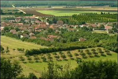 Quel est le numéro attribué au département de la Meuse ?