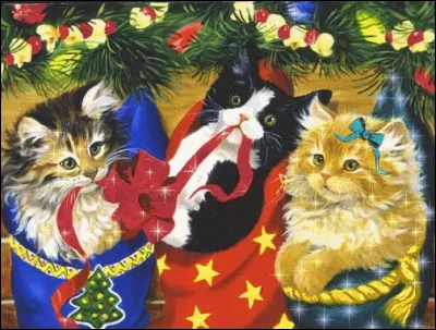 Un chat porte un nud sur la tête. Où est-il ?