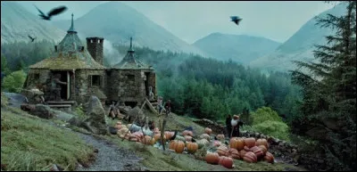 Comment s'appelle le bar qui a un passage qui donne sur le Chemin de Traverse ?