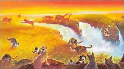 Quelle capacité te plairait le plus ?