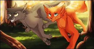 Quel serait ton atout ?