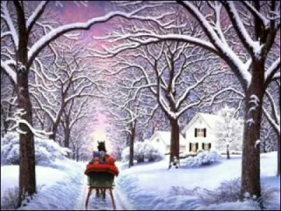 Une femme divorce et décide de prendre des vacances en Afrique. Elle y tombe amoureuse.