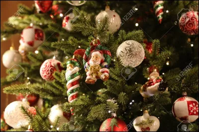 Un chevalier du 18e siècle voyage dans le temps et arrive dans à notre époque. Il se fait accueillir par une jeune femme de laquelle il tombe amoureux.