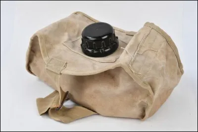 Le shinac est une maladie qui touche particulièrement les...