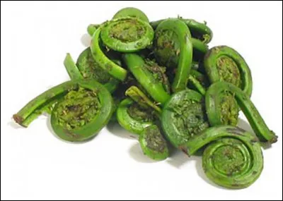 Les Russes se servaient de goudok. C'était...