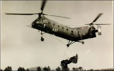 Quel genre de fruit est une gougoulane ?