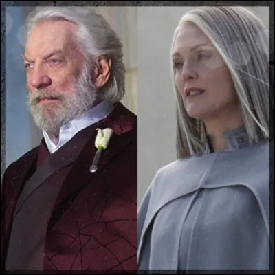 Quel est, ci-dessous, ton pire défaut ?