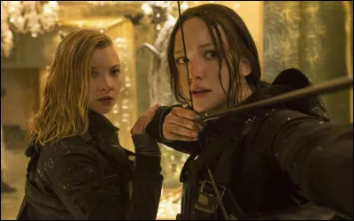 Laquelle des propositions ci-dessous te fait le plus envie ?