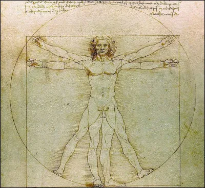 Ce dessin à la plume réalisé vers 1490, appelé "LHomme de Vitruve", est une oeuvre de ...