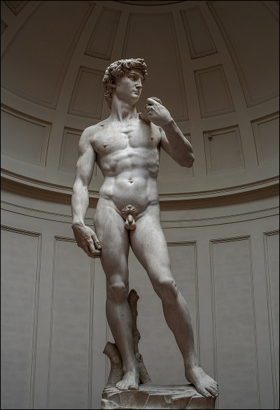Entre 1501 et 1504, il a sculpté "David", considéré un chef-d'oeuvre de la sculpture de la Renaissance :