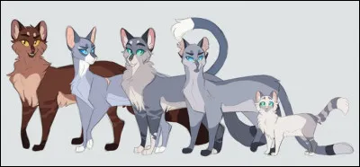 Quel apprenti aimerais-tu avoir ?