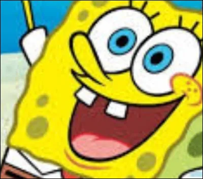 Où vit Bob l'éponge ?