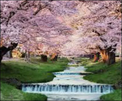 Et ici, que préfères-tu ?