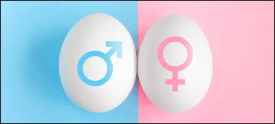 Es-tu une fille ou un garçon ?