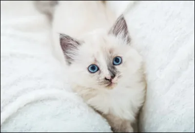 Et ici, que préfères-tu ?