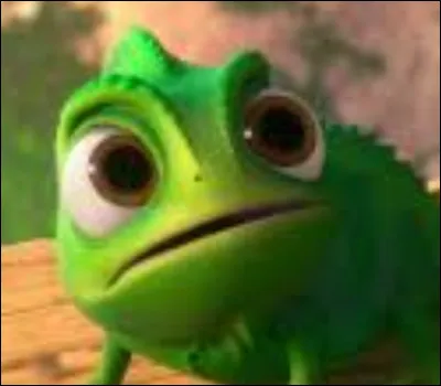 Voici Pascal le caméléon, à quelle princesse appartient-il ?
