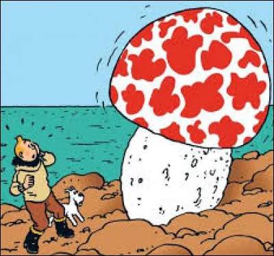 De quel album est tir&eacute;e cette image ?