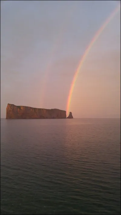 Quelle est ta couleur préférée ?