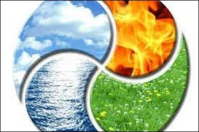 Quel est ton type pr&eacute;f&eacute;r&eacute; ?