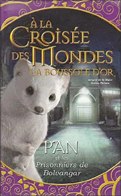 Tu arrives à Bolvangar chez le père de Lyra, il prend ton meilleur ami pour faire une expérience sur lui qui risque de le tuer ; le majordome du père de Lyra t'avertit qu'ils sont partis il y a moins d'une heure en direction du haut de la montagne. Que fais-tu ?