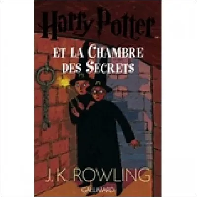 Qui Harry rencontre-t-il chez Fleury et Bott ?