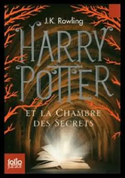 Qui traite Hermione de sang-de-bourbe ?