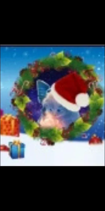 En quel mois se déroule Noël ?