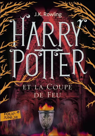 Qui est le professeur de défense contre les forces du mal pendant la quatrième année de Harry ?