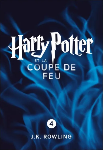 Quel moyen de transport les Weasley, Hermione, Harry et les Diggory prennent-ils pour aller à la coupe du monde de Quidditch ?