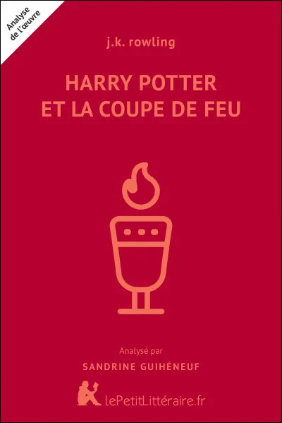 Qui sont les deux personnages qui essayent de mettre leur noms dans la Coupe de feu mais qui n'ont pas l'âge requis ?