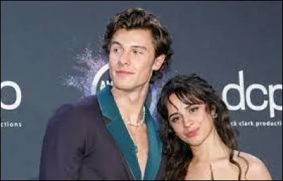 En 2019, avec quelle chanteuse Shawn Mendes partage-t-il un duo sur la chanson "Señorita" ?