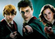 Test Personnage ''Harry Potter''