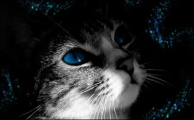 Quelle serait la première partie de ton nom ?