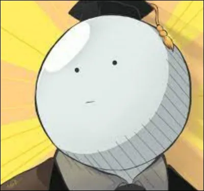 Qu'appelle-t-on une nekomimi ?