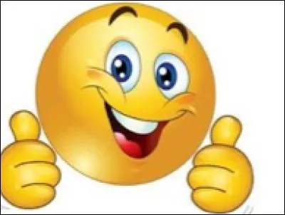 Quel est ton tempérament ?