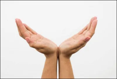 Quel livre ne fait pas partie de la Trilogie royale d'Olivier Maulin ?