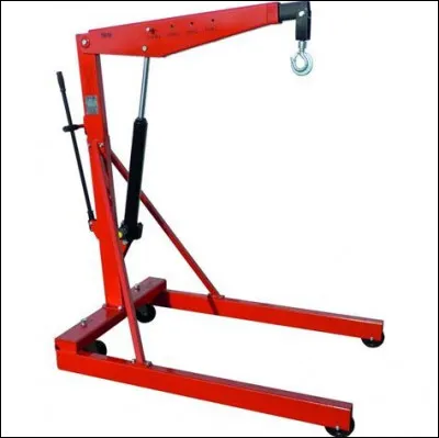 La Saanen est une race de...