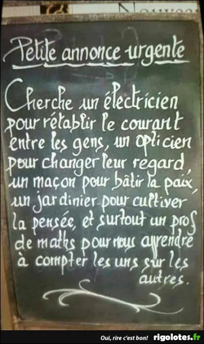 Insecte portant des ailes !