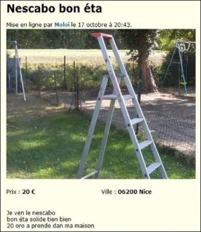 Il peut &ecirc;tre hyacinthe, bleu ou macao !