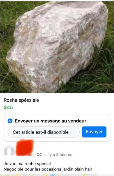 Trouvez l'identit&eacute; de ce groupe ou de cette interpr&egrave;te qui chanta "Super Trouper" !