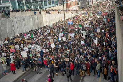 Toi et ton ami &ecirc;tes en train de manifester avec plein d'autres personnes, lorsque des voyous s&egrave;ment la zizanie. Que fais-tu ?