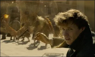 Qu'est-ce qu'un Kappa ?