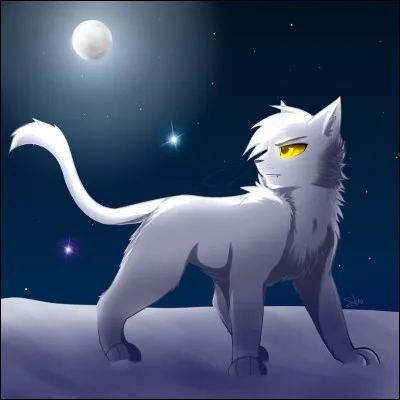 Quel clan préfères-tu ?