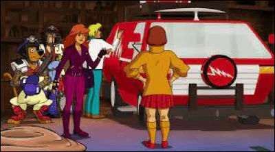 Quel est le nom de ce van ?