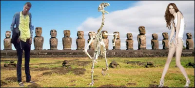 « L'Espagnol, long comme un jour sans vin, __________, gigantesque, longiligne, arbre sec, girafe, peuplier, escogriffe, flandrin, échalas, construit avec des triques, ______________, tenait de l'Ingénieux Hidalgo ».
[Robert Sabatier]