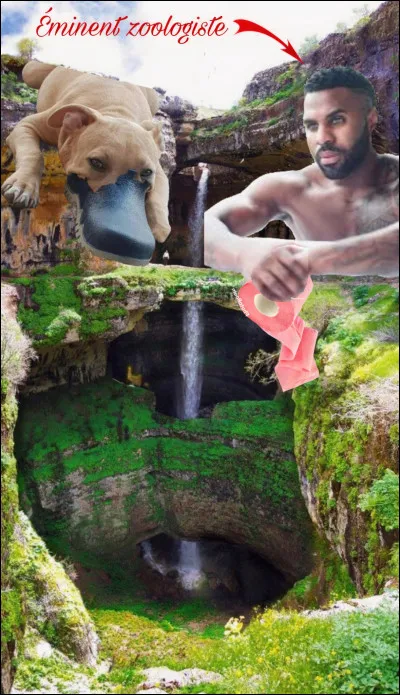 Selon les propres dires de l'éminent zoologiste Jason Desrouleaux, qui naurait pas dennuis pécuniaires selon le magazine Forbes, son état d'excitation intellectuelle fut à son _________ quand il crut fortuitement faire la découverte dun spécimen de cet animal bizarroïde et très improbable appelé _____________.

[La rumeur dit que Jason aurait réalisé, bien plus tard, une fois rentré à la maison, quil sagissait, en fait, de son propre chien qui sétait fait les dents sur lune de ses chaussures !]