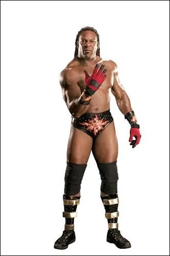 Quel est ce catcheur?