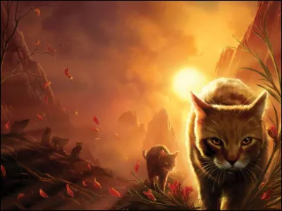 Qui est ce guérisseur ?